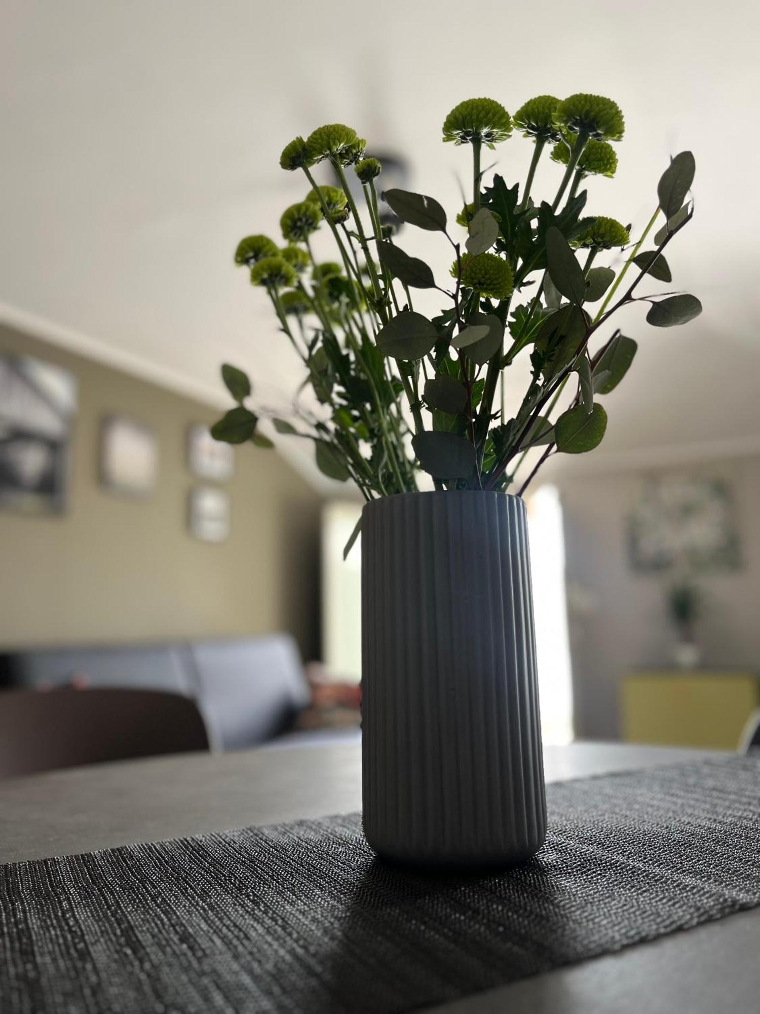 Appartement Maison Luce *